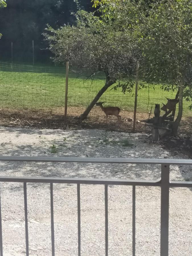 Alloggio E Agriturismo De Poanute Faedis Kültér fotó